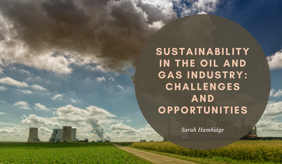 Sustainability in the Oil and Gas Industry: Challenges and Opportunities
